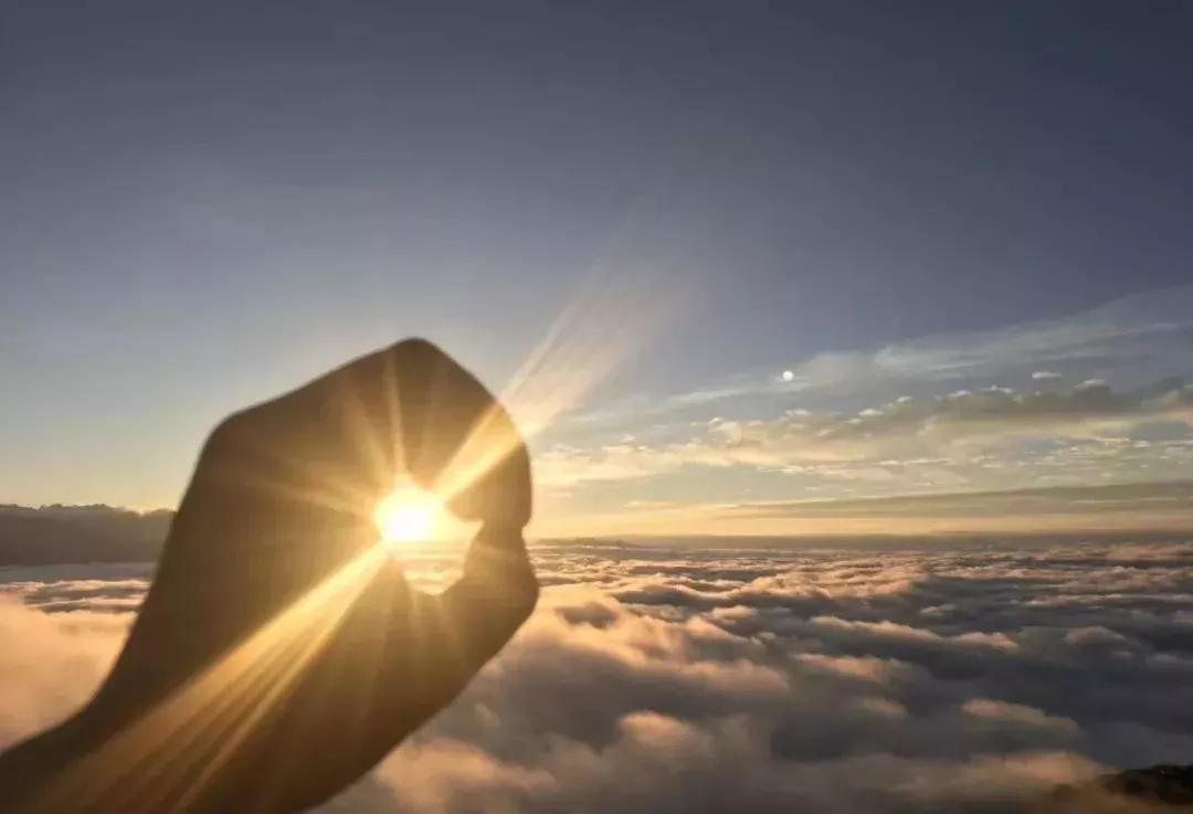 1551756540119460.jpg