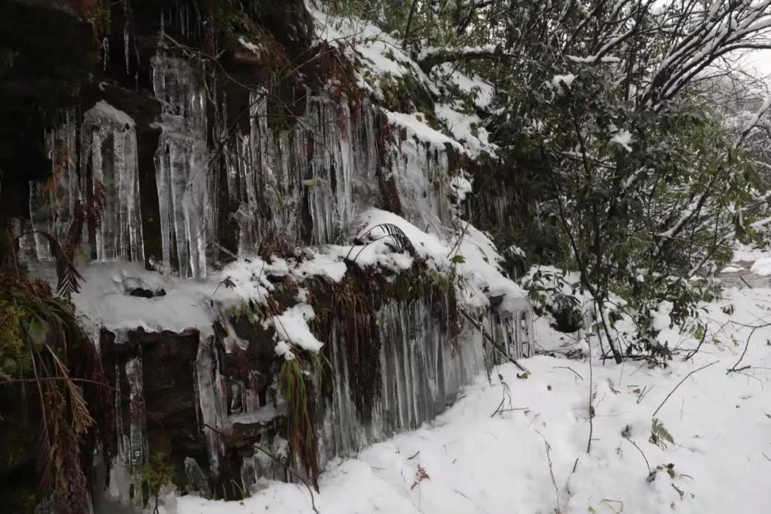 小草坝