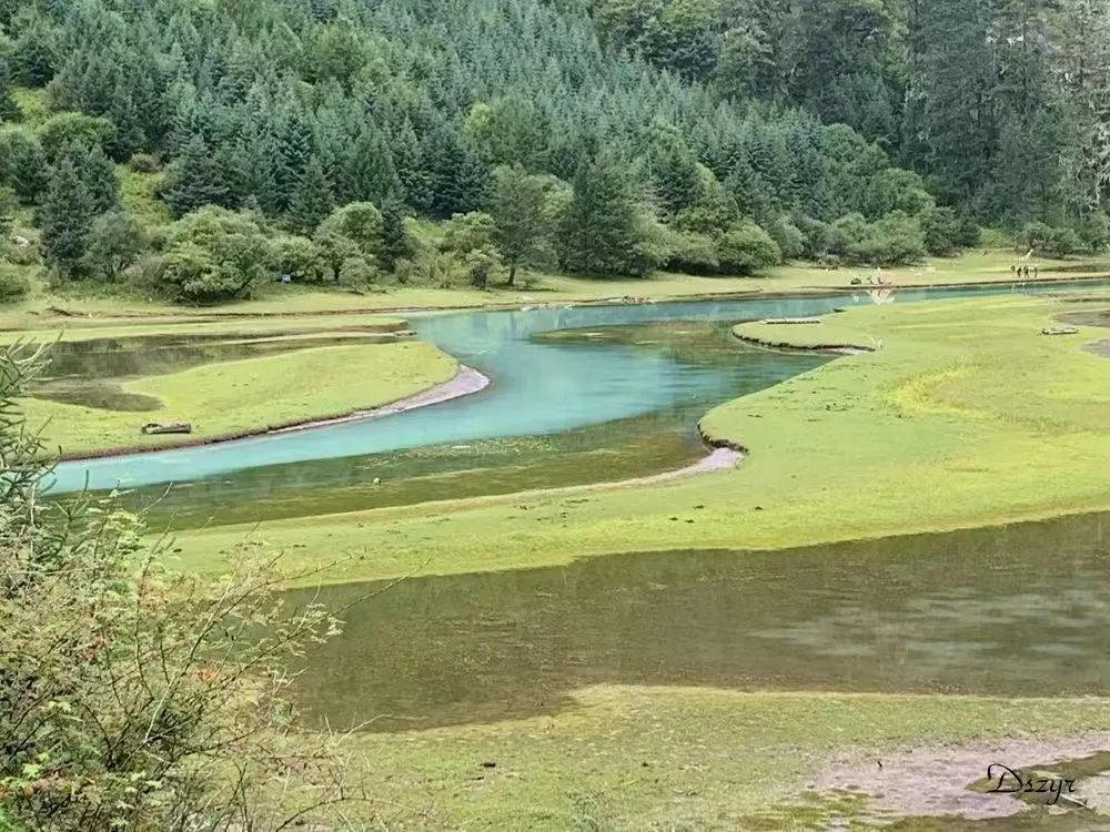 7月6日冷噶措，月亮湾4日自驾：子梅垭口，冷噶措，月亮湾，莲花湖，川西的秘境之旅